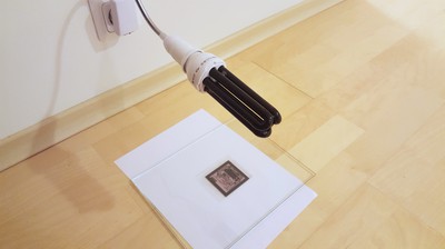 20170224_174930_Fotor.jpg